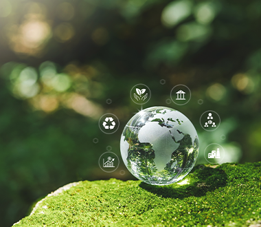 How suppliers and manufacturers can reduce their environmental footprint